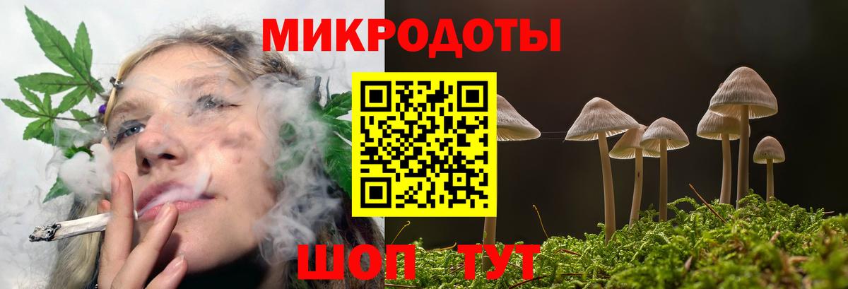 Рязань  Псилоцибиновые грибы GOLDEN TEACHER  Вход с VPN 